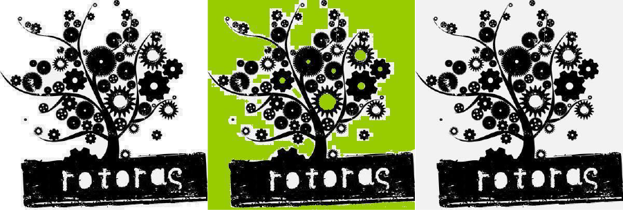 Rotoras Ltd